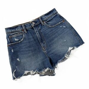 Abercrombie & Fitch Shorts Womens 29 8 The Mom High Rise